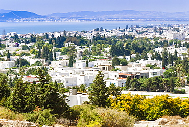 Byrsa Hill looking down on the ancient port at the port of Carthage, Tunis, Tunisia, North Africa, Africa