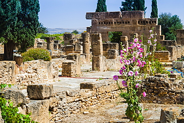 Waterfall House, Utica Punic and Roman archaeological site, Tunisia, North Africa, Africa