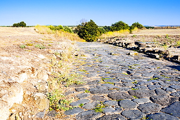 Decumanus maximus, Roman road, Naturalistic Archaeological Park of Vulci, Etruscan city, Vulci, Province of Viterbo, Latium, Lazio, Italy, Europe