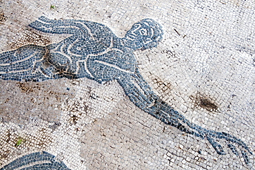 Frigidarium of Terme del Nuotatore, Mosaic of swimmer, Ostia Antica archaeological site, Ostia, Rome province, Lazio, Italy, Europe