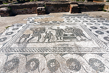 Mosaic, Aula dei misuratori del grano (grain meter room), Ostia Antica archaeological site, Ostia, Rome province, Lazio, Italy, Europe