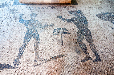 Mosaics, Caupona di Alexander e Helix, Ostia Antica archaeological site, Ostia, Rome province, Lazio, Italy, Europe