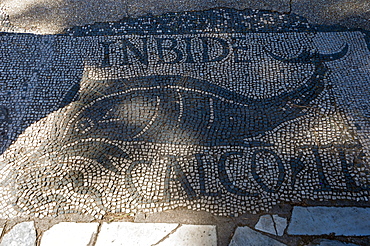 Mosaic of dolphin, Shop of the Fishmongers, Ostia Antica archaeological site, Ostia, Rome province, Lazio, Italy, Europe