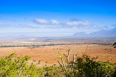 Kudu Point, Tsavo West National Park, Kenya, East Africa, Africa