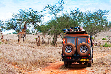 Tourists in the bush, Maasai Giraffe (Giraffa camelopardalis tippelskirchi), Lualenyi Ranch, Taita-Taveta County, Kenya, East Africa, Africa