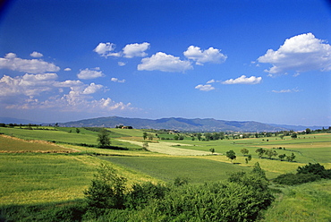 Val di Chiana, Arezzo area, Tuscany, Italy, Europe