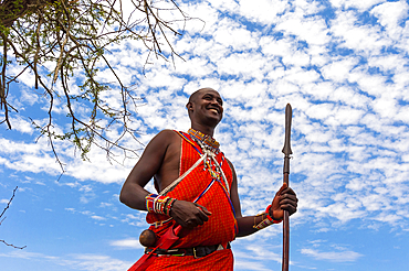 Maasai with spear in the bush, Lualenyi ranch, Mwatate, Kenya, East Africa, Africa