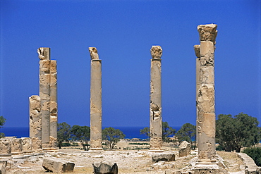 Palace columns, Tolemaide (Ptolemais), Cyrenaica, Libya, North Africa, Africa