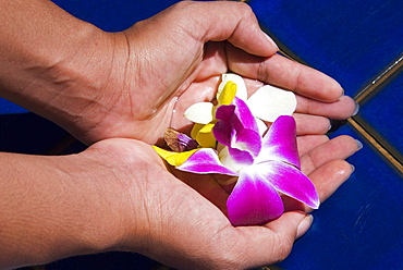 Hands and flowers, Thailand, Southeast Asia, Asia