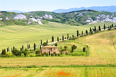 Crete Senesi area, near Asciano, Siena Province, Tuscany, Italy, Europe