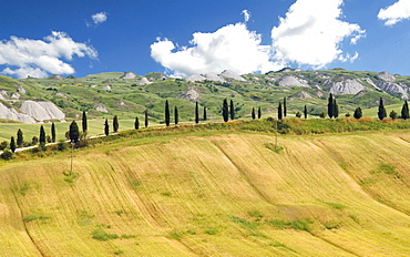 Crete Senesi area, near Asciano, Siena Province, Tuscany, Italy, Europe