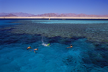 Nabaq National Park, Sharm El Sheikh (Sharm el-Sheikh), Egypt, North Africa, Africa