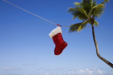 Christmas sock, Las Terrenas, Samana Peninsula, Dominican Republic, West Indies, Caribbean, Central America