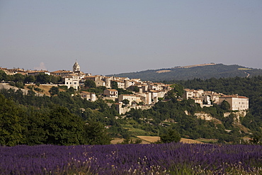 Sault en Provence, Vaucluse, Provence, France, Europe