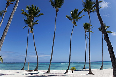 Punta Cana, Dominican Republic, West Indies, Caribbean, Central America