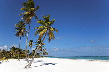 Punta Cana, Dominican Republic, West Indies, Caribbean, Central America