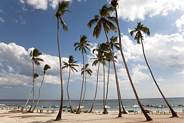 Juan Dolio, Dominican Republic, West Indies, Caribbean, Central America