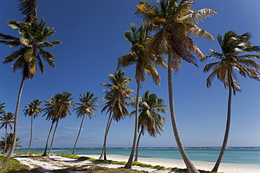 Punta Cana, Dominican Republic, West Indies, Caribbean, Central America