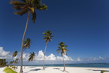 Punta Cana, Dominican Republic, West Indies, Caribbean, Central America