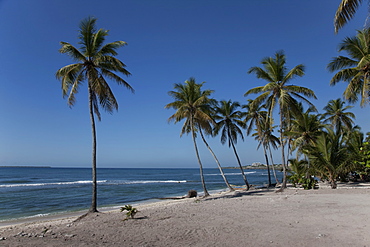 Boca Chica, Dominican Republic, West Indies, Caribbean, Central America