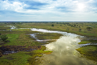 Okavango Delta, Botswana, Africa