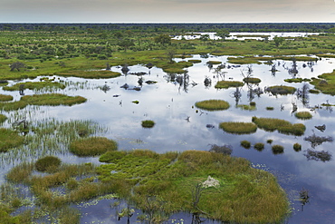 Okavango Delta, Botswana, Africa