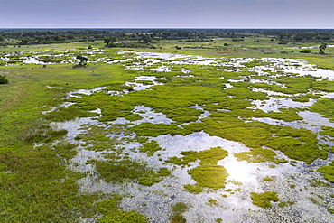 Okavango Delta, Botswana, Africa