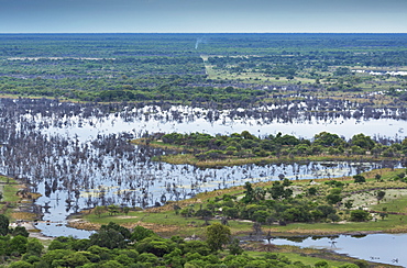 Okavango Delta, Botswana, Africa