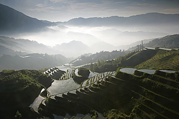 June sunrise, Longsheng terraced ricefields, Guangxi Province, China, Asia