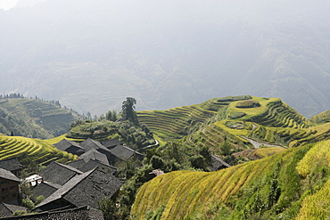 Longsheng terraced ricefields, Guilin, Guangxi Province, China, Asia