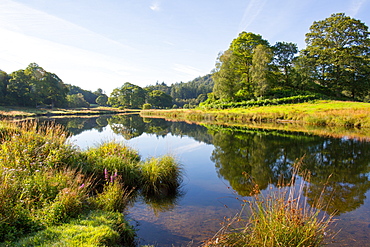 River Brathay, Elter Water, Lake District, UNESCO World Heritage Site, Cumbria, England, United Kingdom, Europe