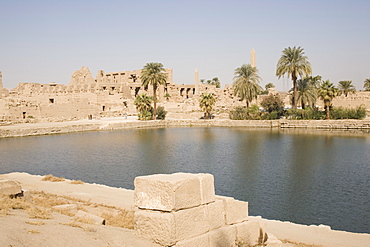 Sacred Lake, Temple of Karnak, Karnak, near Luxor, Thebes, UNESCO World Heritage Site, Egypt, North Africa, Africa