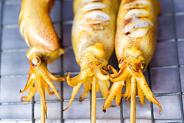 BBQ squid, Chatuchak weekend market, Bangkok, Thailand, Southeast Asia, Asia