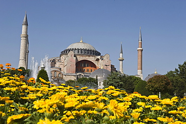 Hagha Sophia with flowers in foreground, UNESCO World Heritage Site, Sultanahmet Square, Istanbul, Turkey, Europe