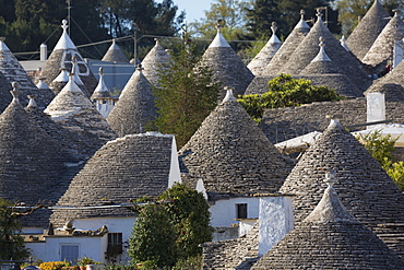 Traditional trullos (trulli) in Alberobello, UNESCO World Heritage Site, Puglia, Italy, Europe