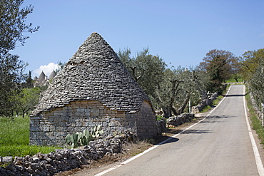 Traditional trullos (trulli) in the countryside near Alberobello, Puglia, Italy, Europe