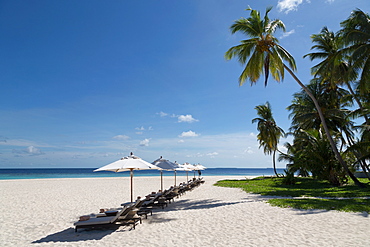 Sun loungers on the beach on an island in the Northern Huvadhu Atoll, Maldives, Indian Ocean, Asia