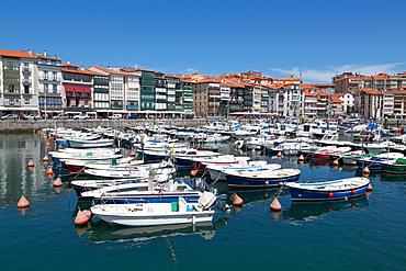 Traditional fishing boats moored in the harbour in Lekeitio, Basque Country (Euskadi), Spain, Europe