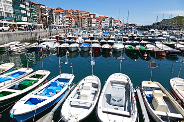 Traditional fishing boats moored in the harbour in Lekeitio, Basque Country (Euskadi), Spain, Europe