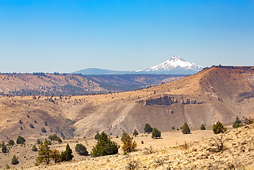 Central Oregon's High Desert with Mount Jefferson, part of the Cascade Range, Pacific Northwest region, Oregon, United States of America, North America