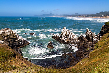 Yaquina Head Nature Reserve near Newport on the Pacific Northwest coast, Oregon, United States of America, North America