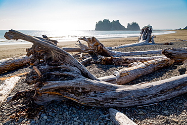 James Island and driftwood on the beach at La Push on the Pacific Northwest, Washington State, United States of America, North America