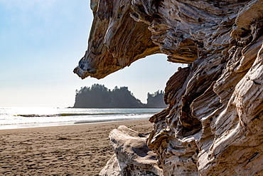 Headland at La Push Beach in the the Pacific Northwest, Washington State, United States of America, North America