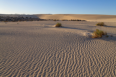 The dramatic Dunas de Corralejo in evening light on the volcanic island of Fuerteventura, Canary Islands, Spain, Europe