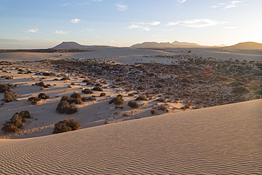 The dramatic Dunas de Corralejo in evening light on the volcanic island of Fuerteventura with mountains beyond, Fuerteventura, Canary Islands, Spain, Atlantic, Europe