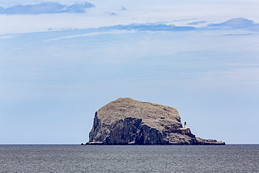 Bass Rock, a tiny uninhabited island in the Firth of Forth, home to a large colony of gannets, East Lothian, Scotland, United Kingdom, Europe