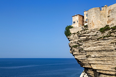 The Citadel and old town of Bonifacio perched on rugged cliffs, Bonifacio, Corsica, France, Mediterranean, Europe