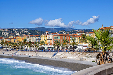 Palm tree with Promenade des Anglais in the distance, Nice, UNESCO, Alpes Maritimes, French Riviera, Provence, France