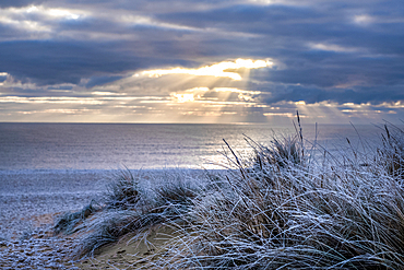 Early morning winter light on frosty sand dunes in Southwold in the county of Suffolk, East Anglia.