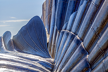 Detail of giant scallop shell sculpture on the shingle beach at Aldeburgh. It is a tribute to Benjamin Britten and was created by the artist Maggie Hambling in 2003.